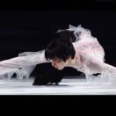 花儿从来不慌张