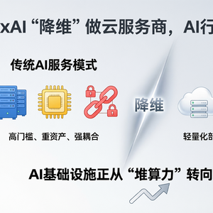 xAI“降维”做云服务商，AI行业迎来拐点：别卷模型了，去卖铲子吧！