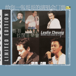 237. 春天很好，当你在张国荣的演唱会现场