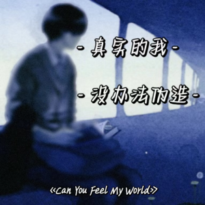 siu-Can You Feel My World