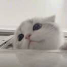 我不欠你的