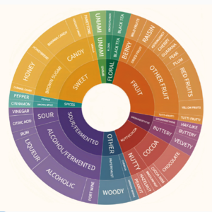 A.C.027 学神的填志愿建议:没那么多名堂,自己看着办吧