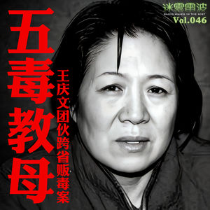 Vol.046 | 五毒教母：王庆文团伙跨省贩毒案
