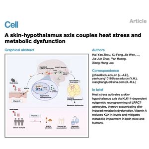 972-Skin-Hypothalamus in Heat-Induced Metabolic Dysfunction