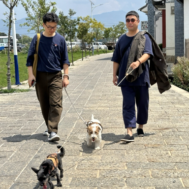 胖冬来~ cover art