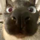 英语数学语文物理政治化学