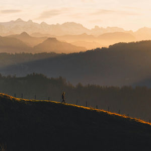 EP163 交易成本模型