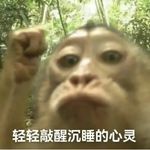 爱咋咋地123