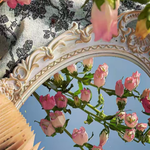 VOL277.我觉得电影《花束般的恋爱》很一般，这是可以说的吗？