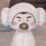 大喵爱吃五花肉