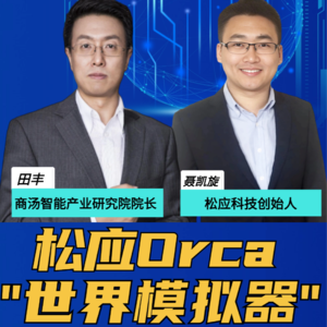 第262集 松应Orca “世界模拟器”