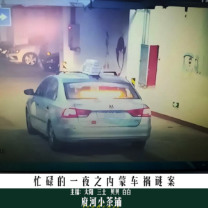 《忙碌的一夜之内蒙古车祸谜案》