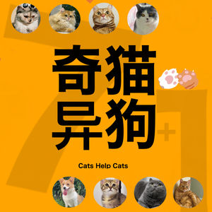 奇猫异狗