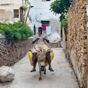 逃逸动物气泡,到肯尼亚神秘世遗小岛