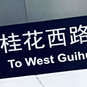 桂花西路Studio