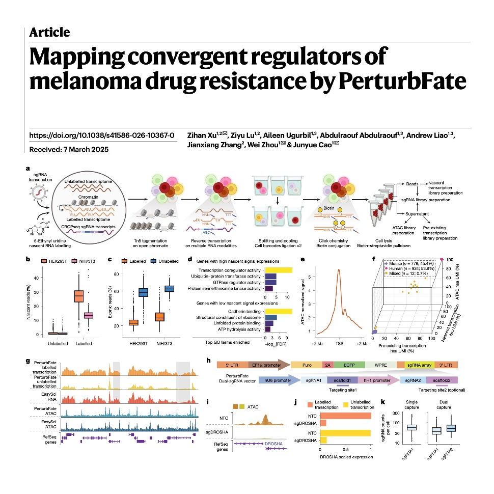 886-PerturbFate: Mapping Melanoma Drug Resistance Regulation episode artwork