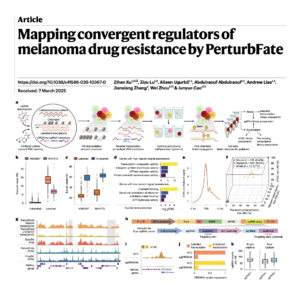 886-PerturbFate: Mapping Melanoma Drug Resistance Regulation