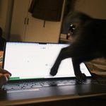 Claire没内存了