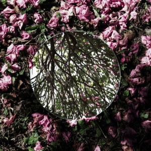 玄学夜话 107｜双鱼男生日会上，摩羯女和天秤男的典中典行为