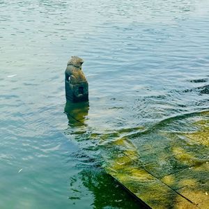 007. “没背景的妖怪，都被一棍子打死了”：西游记里，都藏着哪些暗黑解读？