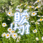 E77. 如何找到自己的本命工作？请相信向内探索的力量