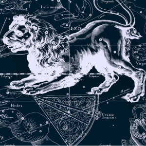 占星读书会009｜上升狮子