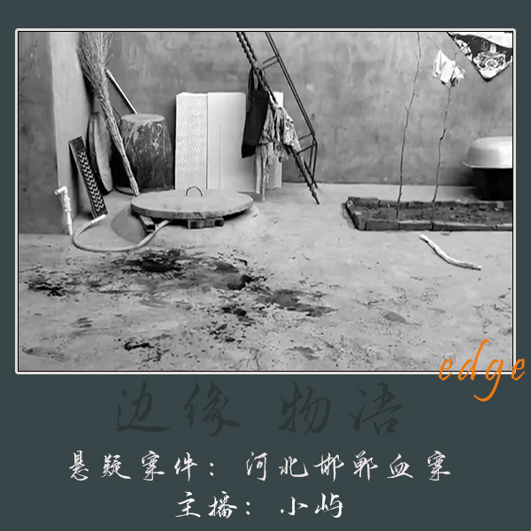 cover of episode 43.复仇之刃：河北邯郸血案