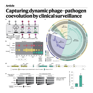 735-噬菌体与霍乱弧菌的临床协同进化演变