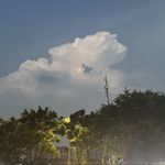 孟風起時丶