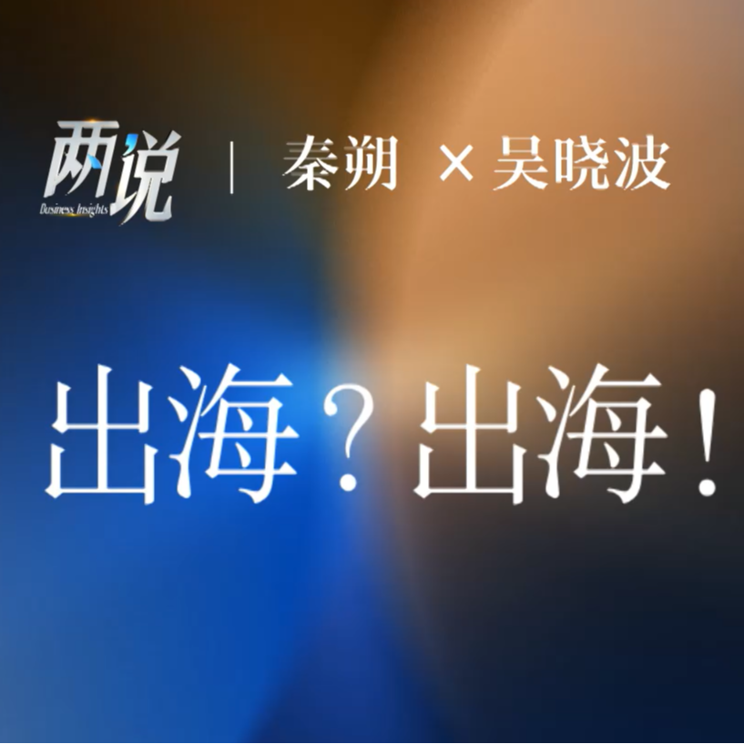 秦朔对话吴晓波：中国企业具备了全面“出海”的能力 | 两说