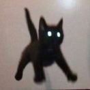 七七四十九_Oafi