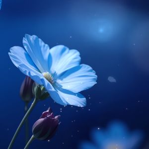 【马哲】经济基础与上层建筑的辩证关系