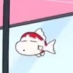 饿鱼fish