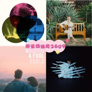 我爱维迪奥2609（AI说要去电台化）