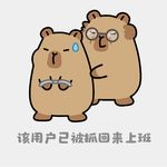 小钱钱认真听