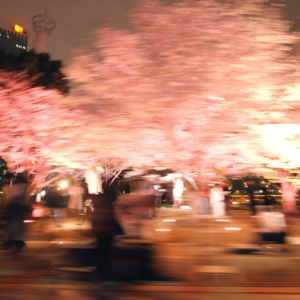 50 在洋气与江湖气之间：武汉与楚文化