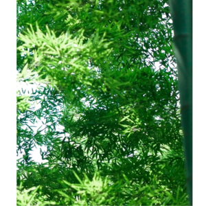 004.【中医】“医”本身就是人们对健康以及更好关系的向往