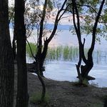 月落哀牢山
