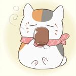 肉桂与栀子