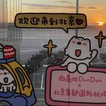小皮皮皮