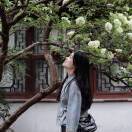 亦安_VirS