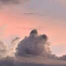 老夫胜在脸宽_w41L