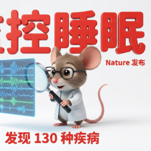一夜安睡预知百病:SleepFM 模型如何利用睡眠信号预测 130 种疾病风险