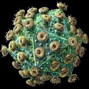 艾滋病会被终结吗？｜HIV对抗史：反复受挫与多线突围