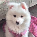 今天开始多吃蔬菜
