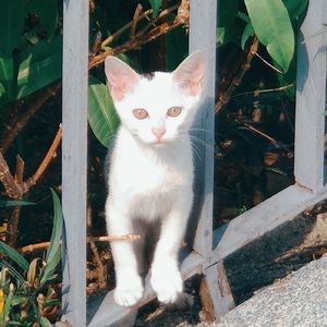 臭屁是我
