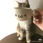 好运小塔
