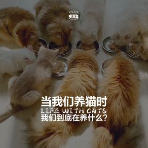 vol.319 当我们养猫时，我们到底在养什么？