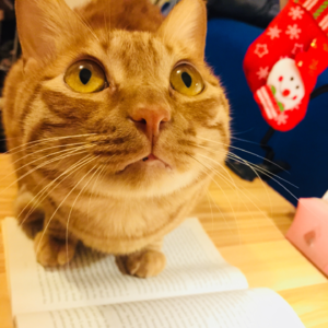 让你的英语发音突飞猛进的4个方法