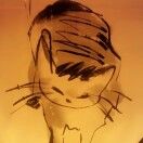 姜晴_qUgd